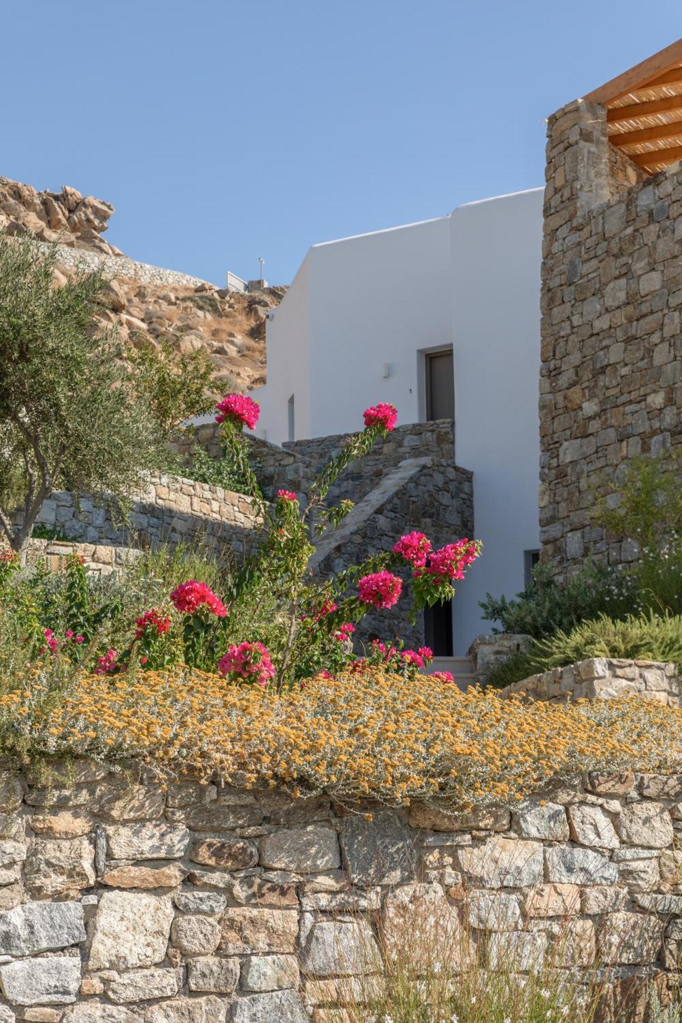 Calma Suites Mykonos Psarrou Dış mekan fotoğraf